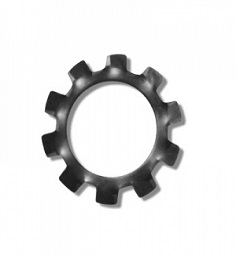 External Tooth Lock Washer